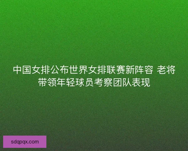 中国女排公布世界女排联赛新阵容 老将带领年轻球员考察团队表现