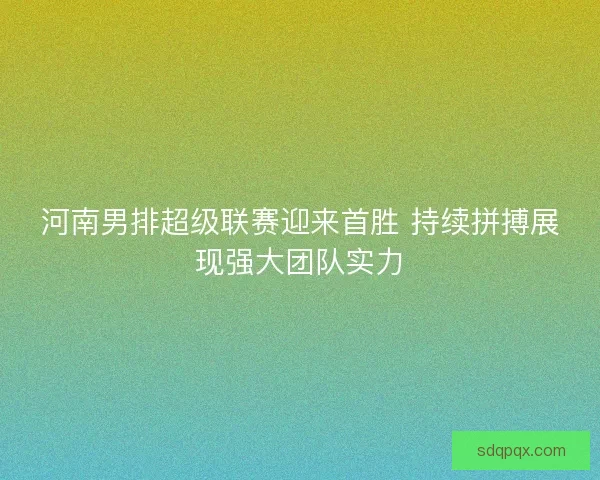 河南男排超级联赛迎来首胜 持续拼搏展现强大团队实力